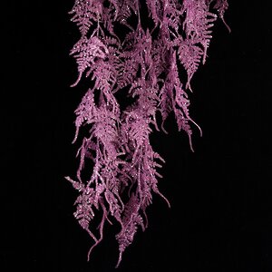 Декоративная ветка-лиана Аспарагус фиолетовая 110 см Kaemingk фото 2