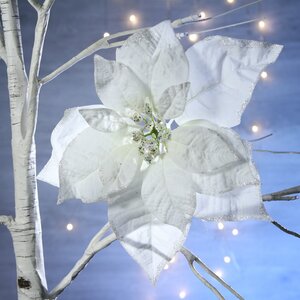 Пуансеттия Шёлковый Ветер 24 см белая, клипса Kaemingk фото 1