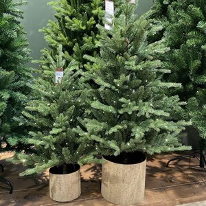 Искусственная елка с лампочками Voss 90 см в кашпо, 60 теплых белых ламп на батарейках, контроллер, ЛИТАЯ + ПВХ, IP44 Kaemingk фото 2