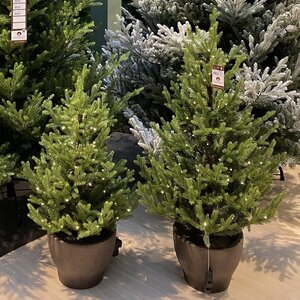 Искусственная елка с лампочками Norway 120 см в кашпо, 80 теплых белых ламп на батарейках, контроллер, ЛИТАЯ + ПВХ, IP44 Kaemingk фото 2