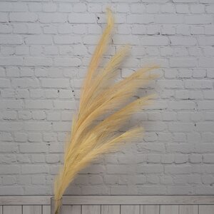 Декоративная ветка с перьями Коко Пальмьери 100 см, карамельная EDG фото 3
