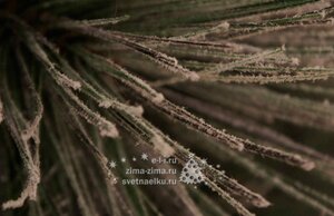 Искусственный Кедр заснеженный 210 см, ЛЕСКА, уцененный Kaemingk фото 3