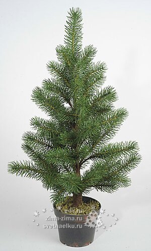 Настольная елка в горшочке 65 см, ЛИТАЯ 100% Kaemingk фото 1