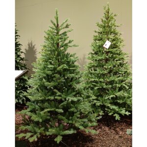 Искусственная елка Odense 150 см, ЛИТАЯ 100% Kaemingk фото 3