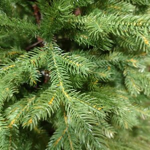 Искусственная елка Odense 150 см, ЛИТАЯ 100% Kaemingk фото 4