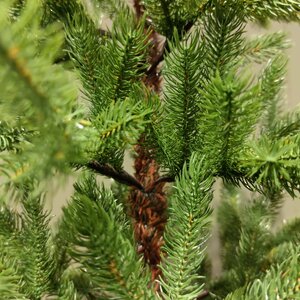 Искусственная елка Odense 150 см, ЛИТАЯ 100% Kaemingk фото 6