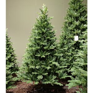 Искусственная елка Аллисон 180 см, ЛИТАЯ + ПВХ Kaemingk фото 5