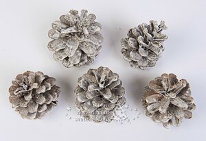 Шишки сосновые серебряные, 5 шт Kaemingk фото 1