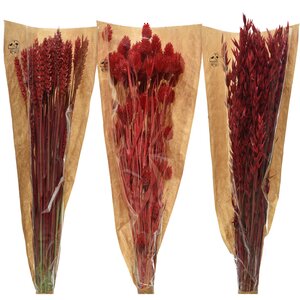Сухоцветы для букетов Пшеница 50 см красная Kaemingk фото 3
