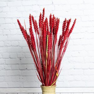 Сухоцветы для букетов Пшеница 50 см красная