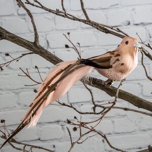 Елочное украшение Женевская пташка 15 см розовая, клипса Kaemingk фото 1