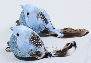 Елочное украшение "Птичка Зимняя", 13 см, 2 шт, голубой, клипса Kaemingk фото 1