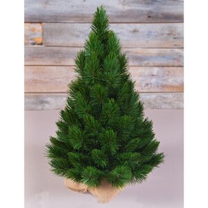 Елка настольная в мешочке Триумф Норд 60 см, ЛЕСКА + ПВХ Triumph Tree (Триумф Три) фото 2