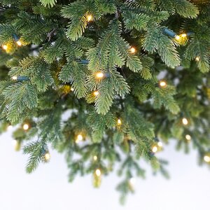 Искусственная елка с огоньками Городская 230 см, 320 теплых белых ламп, ЛИТАЯ 100% Black Box (Блэк Бокс) фото 4