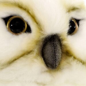 Мягкая игрушка Сова арктическая 27 см Hansa Creation фото 2