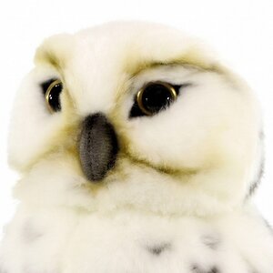 Мягкая игрушка Сова арктическая 27 см Hansa Creation фото 6