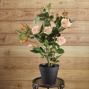 Искусственный цветок в горшке Роза Dolce Vita 50 см Kaemingk фото 1