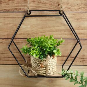 Искусственное растение в кашпо Крассула 12 см Kaemingk фото 2