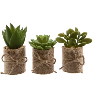 Искусственное растение Крассула Money Tree в джутовом кашпо 12 см Kaemingk фото 3