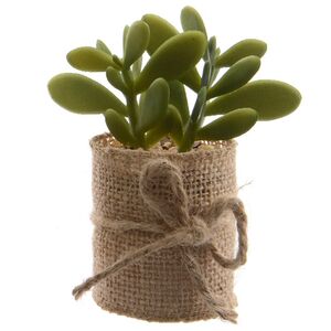 Искусственное растение Крассула Money Tree в джутовом кашпо 12 см Kaemingk фото 2