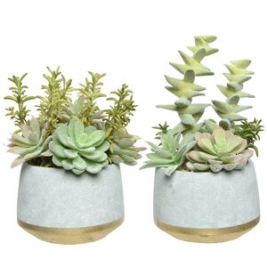 Искусственное растение в горшке Эхеверия Лилицина 22 см Kaemingk фото 3