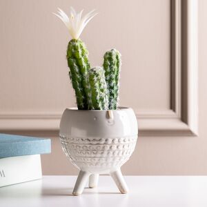 Искусственное растение в горшке Кактус White Pearl 24 см Kaemingk фото 4