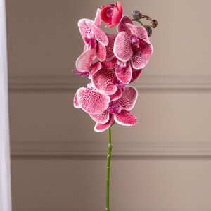 Искусственный цветок Орхидея Aphrodite 77 см Kaemingk фото 3