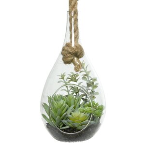 Декоративный подвесной флорариум Morrigan: Гастерия 24 см Kaemingk фото 1