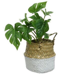 Искусственное растение в горшке Монстера Brunno 26 см Kaemingk фото 4