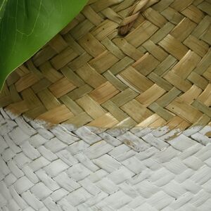 Искусственное растение в горшке Монстера Brunno 26 см Kaemingk фото 2