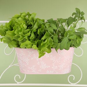 Подвесное кашпо для балкона Амальфи 28*14 см розовое, металл Kaemingk фото 2