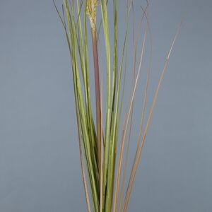 Искусственная ветка Mulberry 100 см Kaemingk фото 8