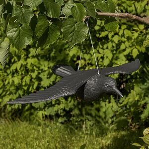 Декоративная фигура для сада Черный Ворон 58*40 см Koopman фото 1