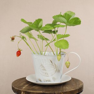 Декоративное кашпо для цветов Чашка Весенний Прованс 23*20 см, металл Kaemingk фото 2