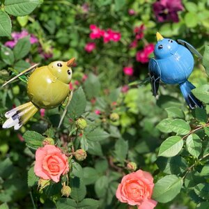 Садовый штекер Птичка Валенсии 54 см синяя Kaemingk фото 4