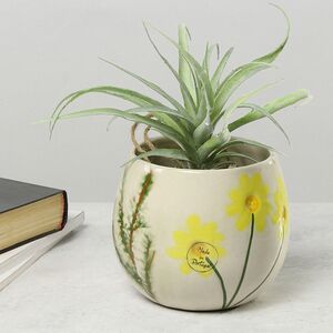 Набор декоративных кашпо Fiore Solare 10-16 см, 2 шт Kaemingk фото 3