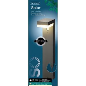 Садовый светильник на солнечной батарее Solar Bruno 50 см, датчик движения, IP44 Kaemingk фото 5