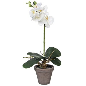 Орхидея искусственная в горшке 48 см белая Edelman фото 1