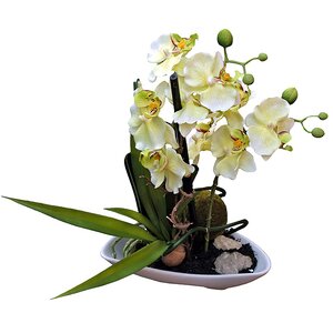Орхидея в кашпо миниатюрная, белая, 29 см Edelman фото 1