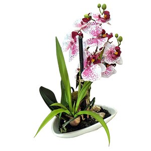 Орхидея в кашпо миниатюрная, бело-розовая, 29 см Edelman фото 1