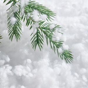 Искусственный снег в хлопьях Snow Balls 50 гр Koopman фото 2