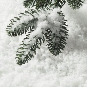 Искусственный снег Snow Dream ECO BIO - Крупные хлопья, 50 г Koopman фото 2