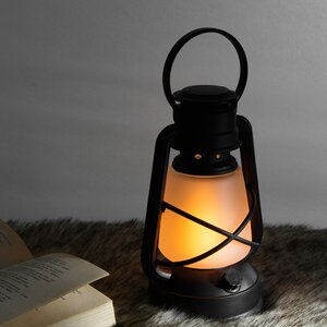 Светодиодный фонарь с имитацией пламени Odrey Riberta 22*14 см, на батарейках Koopman фото 2