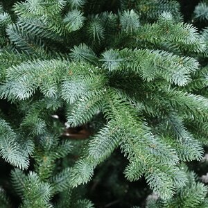 Искусственная елка Айрин 150 см зелено-голубая, ЛИТАЯ 100% ElkaDe фото 2