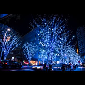 Гирлянды на дерево Клип Лайт - Спайдер 100 м, 900 синих LED ламп, черный СИЛИКОН, IP54