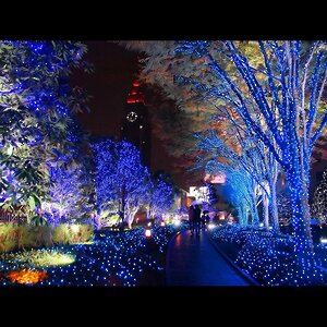 Гирлянды на деревья Клип Лайт Quality Light 100 м, 1000 синих LED ламп, черный ПВХ, IP44