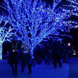 Гирлянды на дерево Клип Лайт Quality Light синие LED лампы, прозрачный ПВХ, IP44