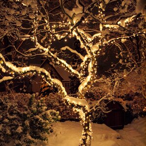 Гирлянды на дерево Клип Лайт Quality Light теплые белые LED лампы, прозрачный ПВХ, IP44