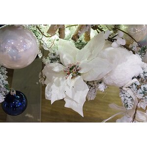 Пуансеттия Императорская 24 см белоснежная, клипса Kaemingk фото 2