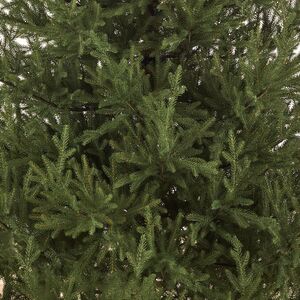 Искусственная елка Лесная Симфония 180 см, ЛИТАЯ 100% Max Christmas фото 4